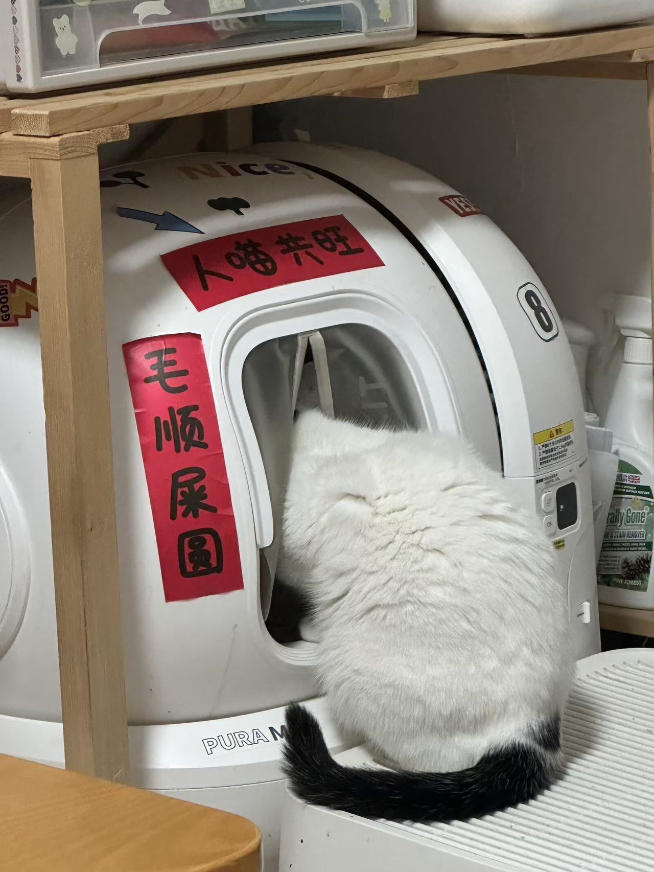 微信图片_20260617205927_6648_76.jpg