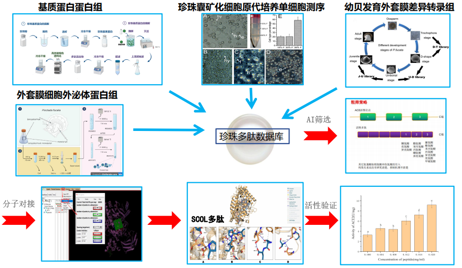 微信图片_20260709100717_2398_177.png