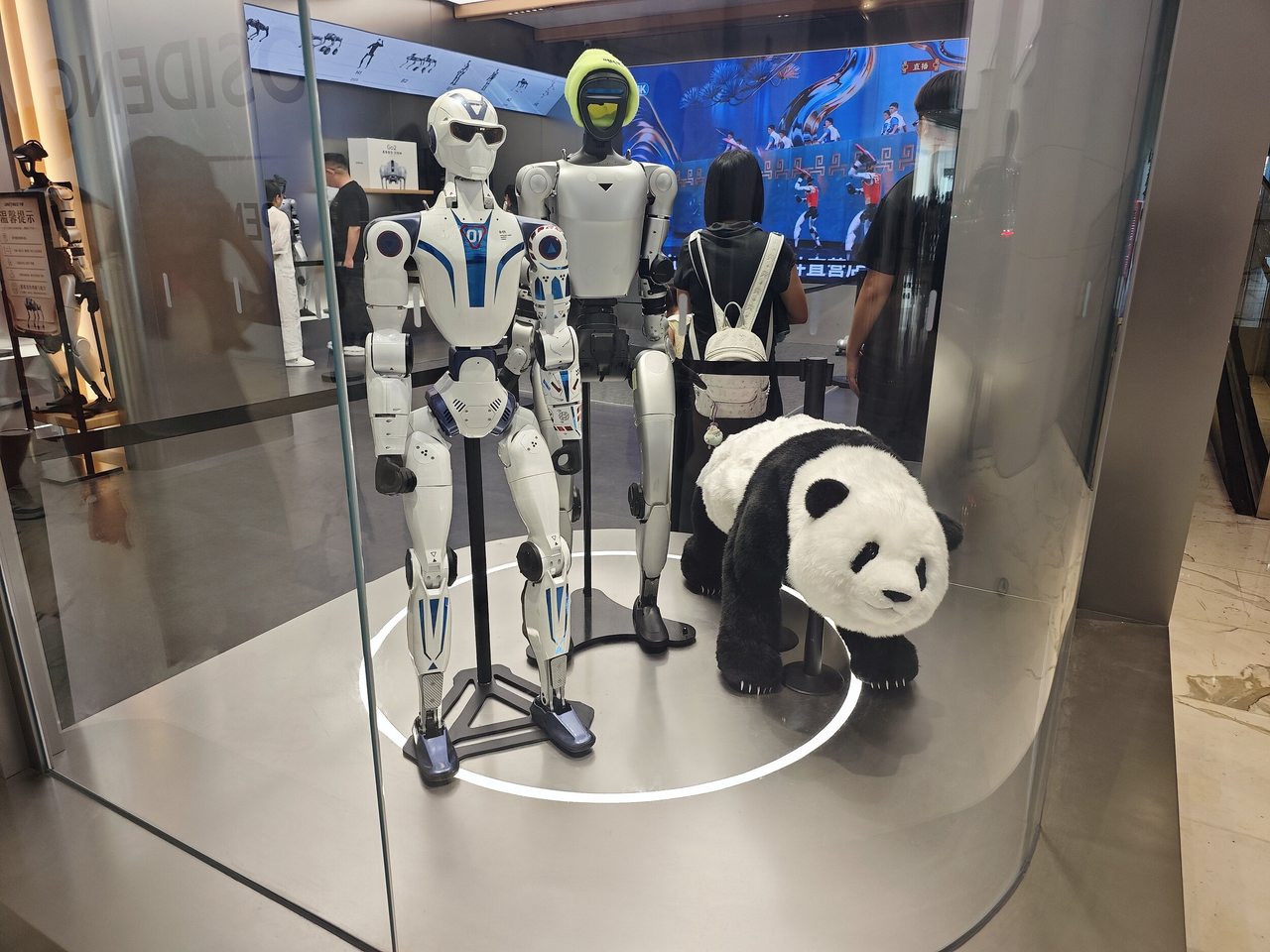 宇树.jpg