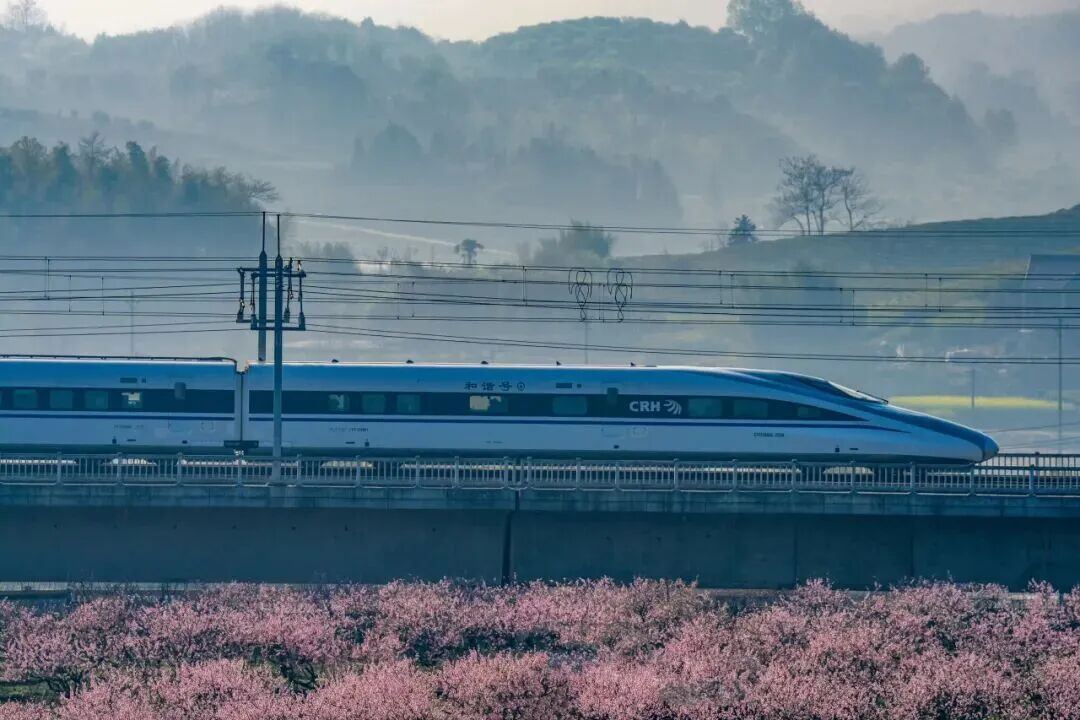 2090335712158093312.jpg 图片