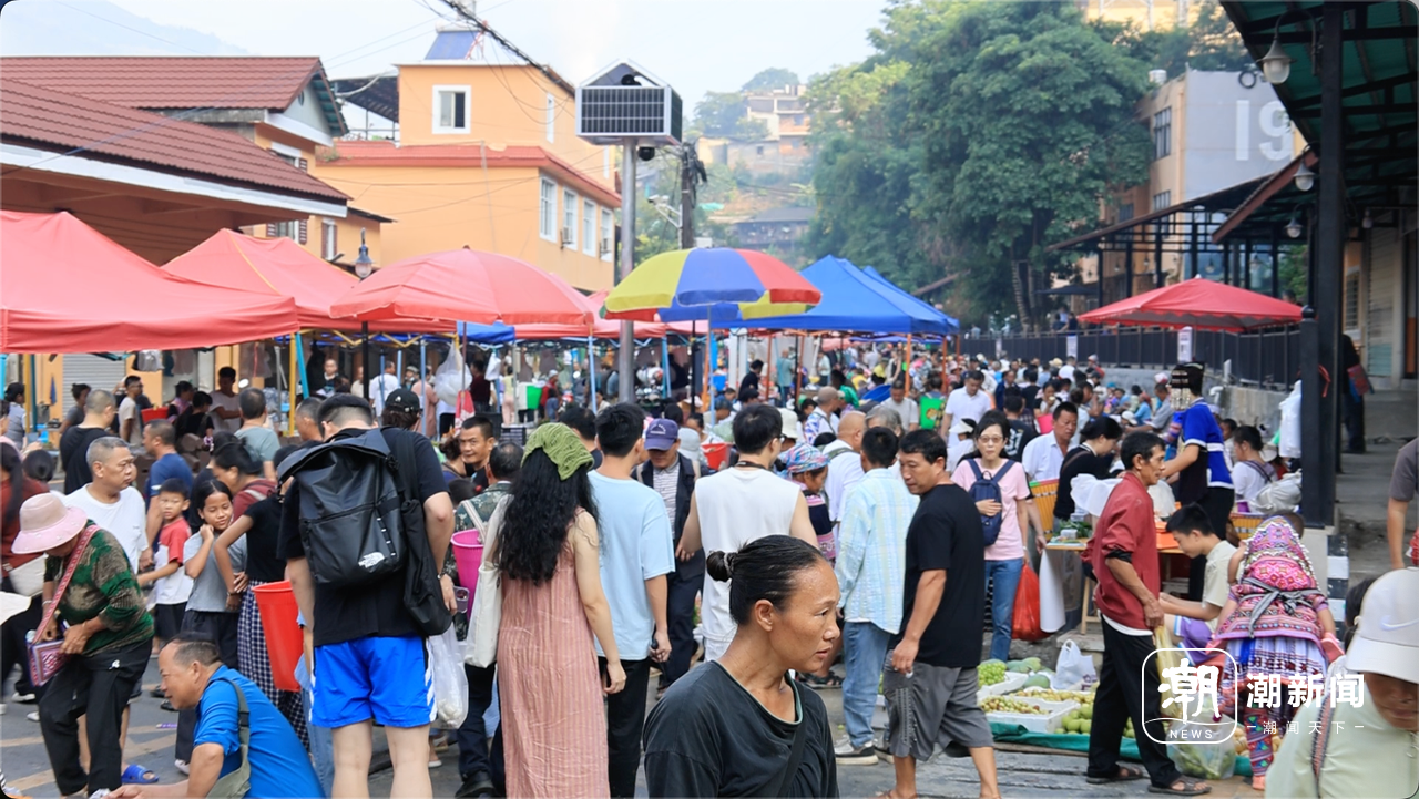 微信图片_20260814232211_765_3.png