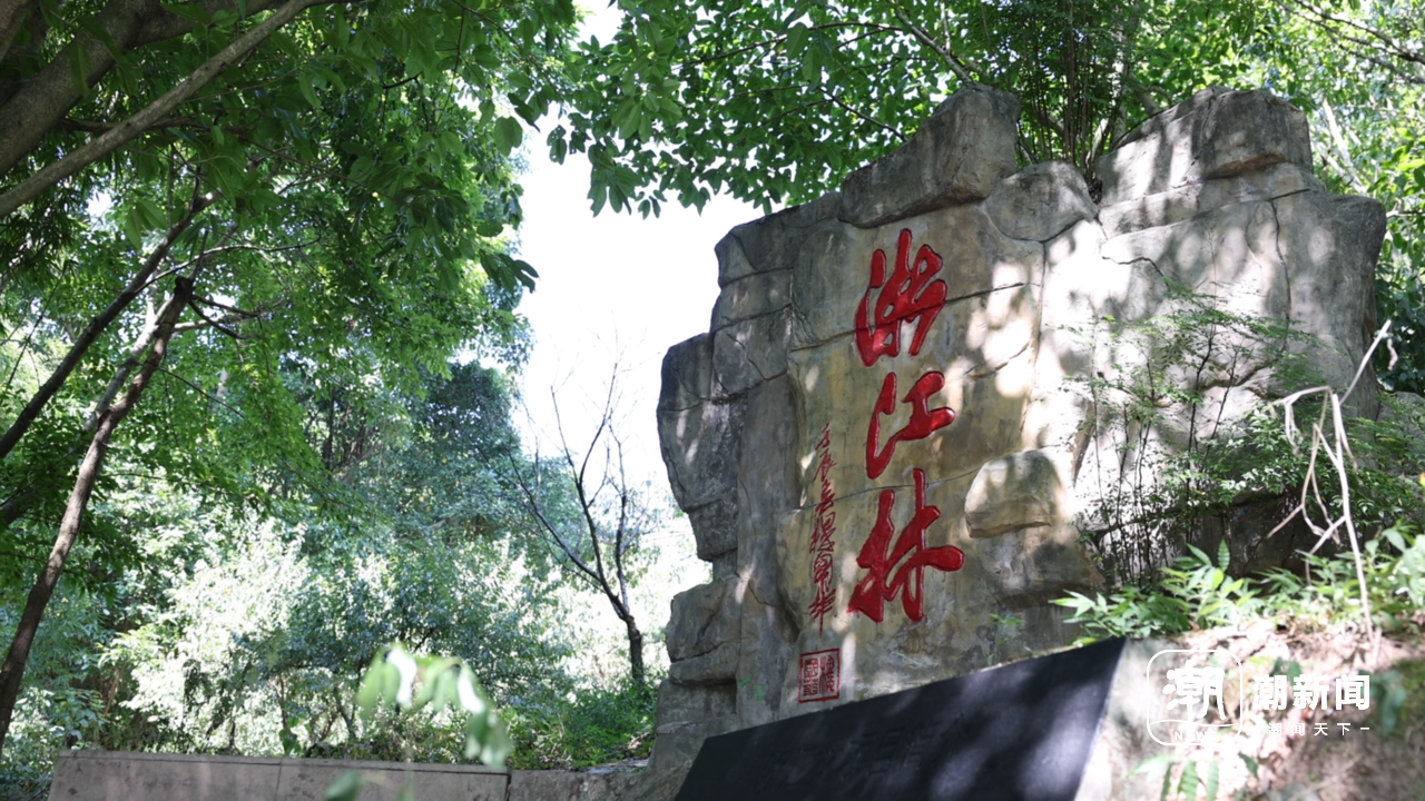 微信图片_20260924110900_273_8.png