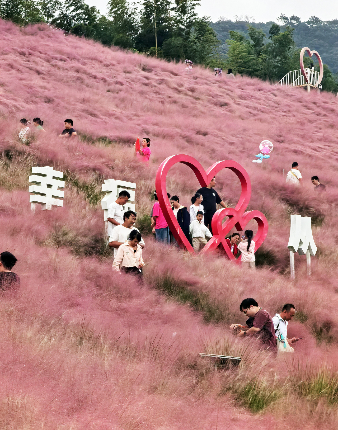 微信图片_20261005142259_11_261.jpg