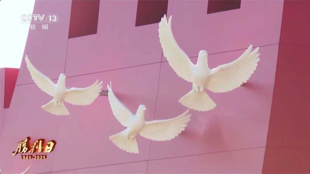 1963026630666346496.jpg 图片