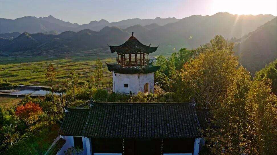 1967017595538194432.jpg 图片