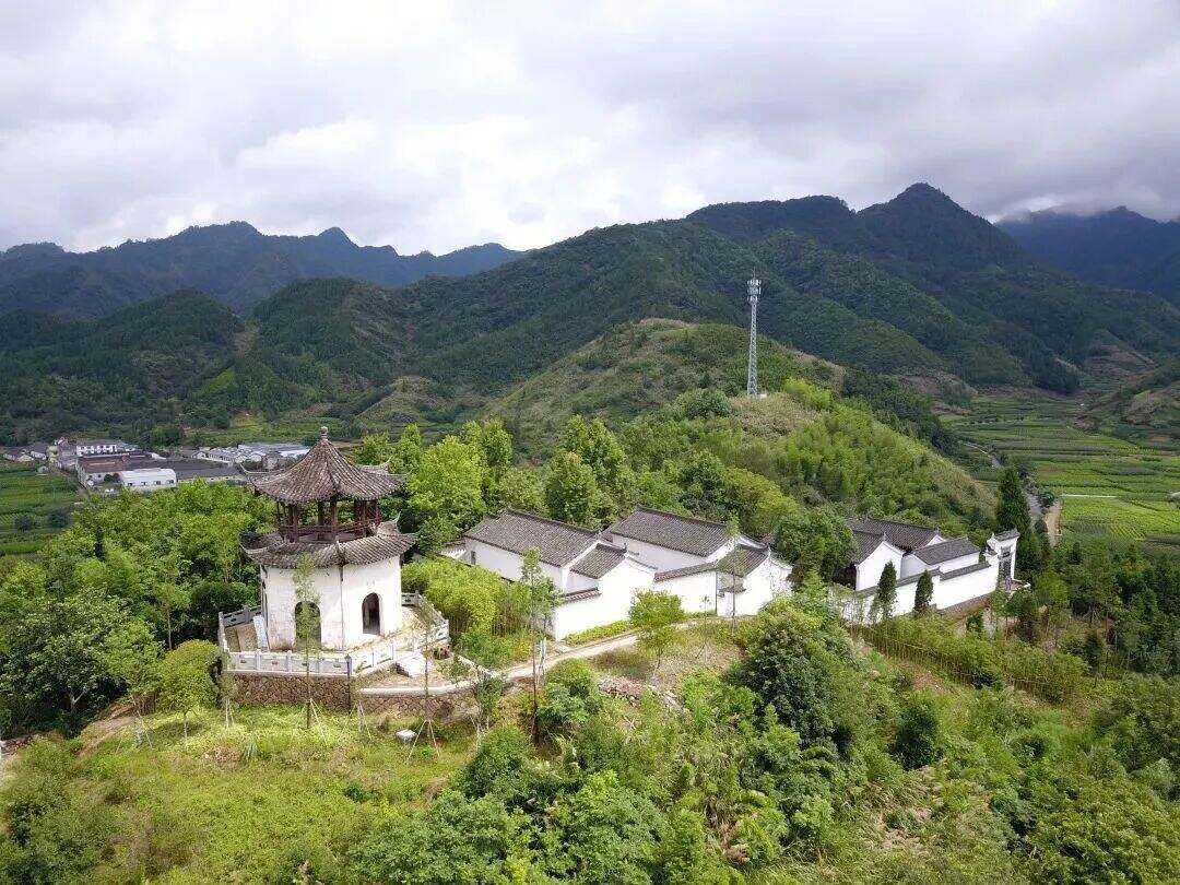 1967017595471085568.jpg 图片