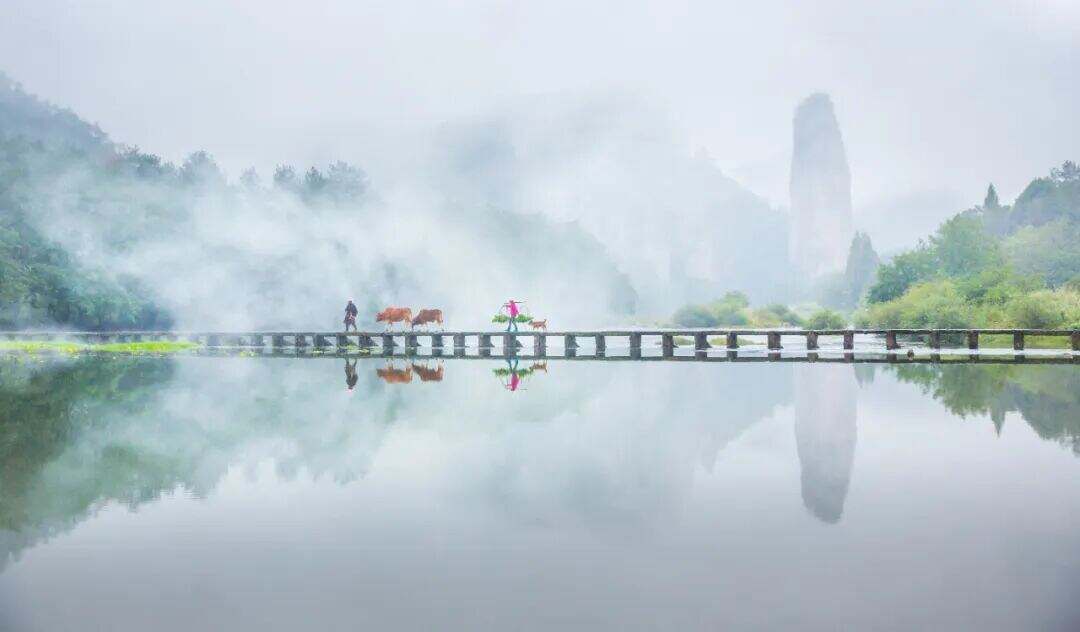 1983338915515326464.jpg 图片