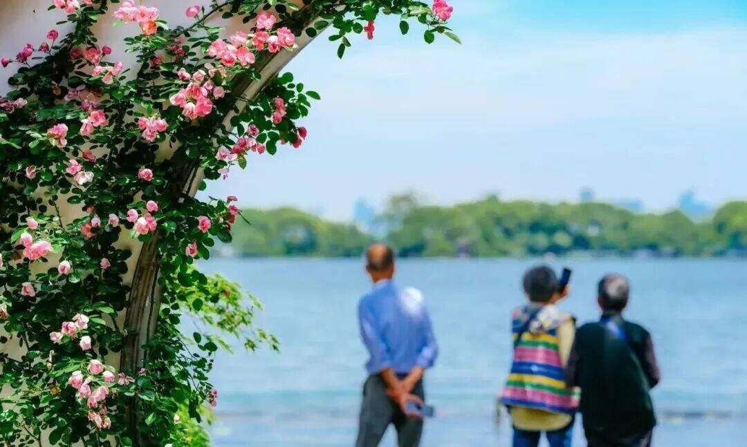 1983339444429643776.jpg 图片