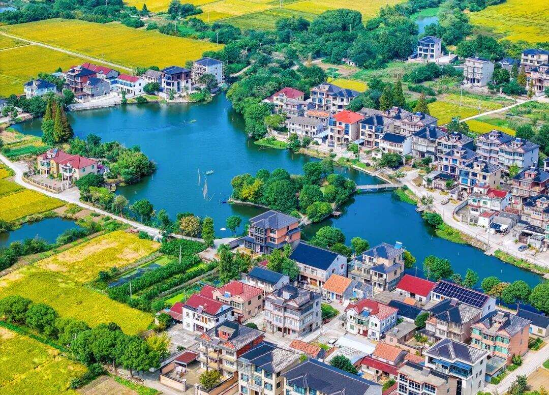 1983704486555672576.jpg 图片