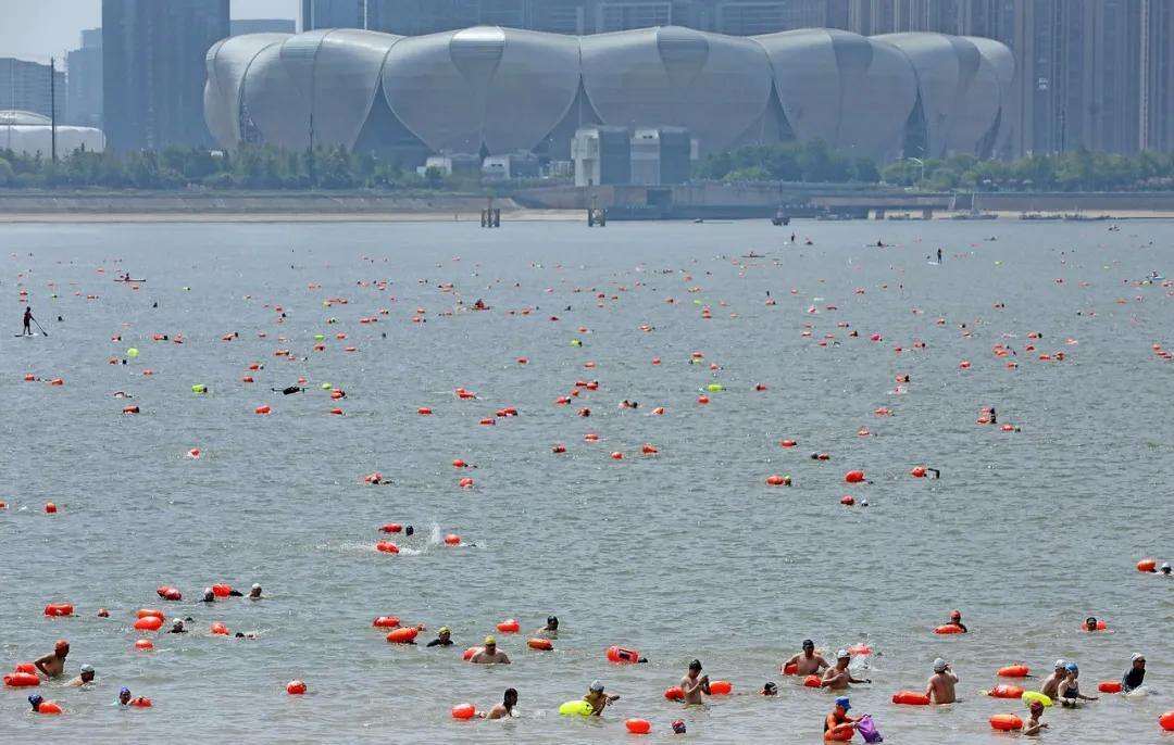 1989897862510534656.webp 图片