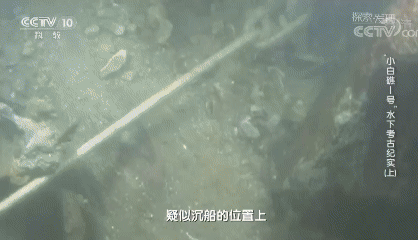 1992098944171094016.gif 图片