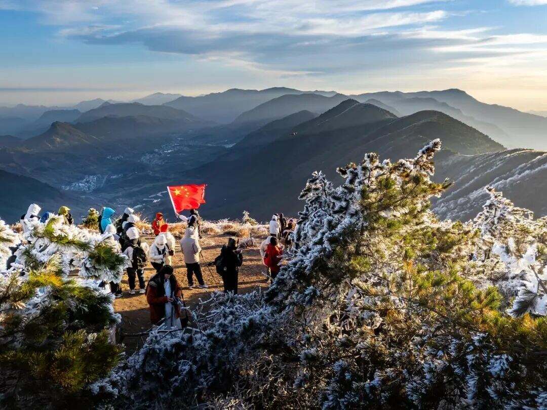 1992099312720392192.jpg 图片