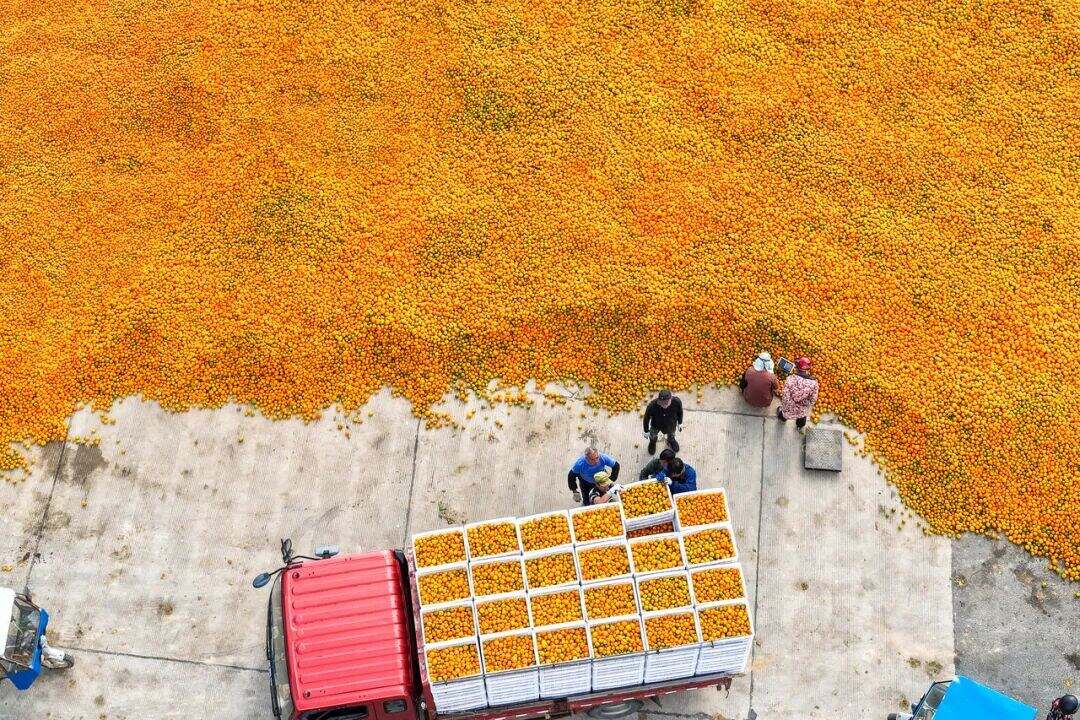 1992099313034964992.jpg 图片