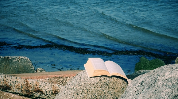 1993135415640436736.png 图片