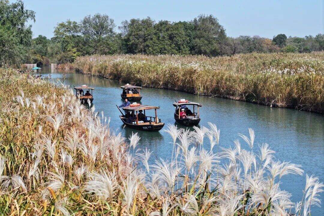 1995329913862729728.jpg 图片