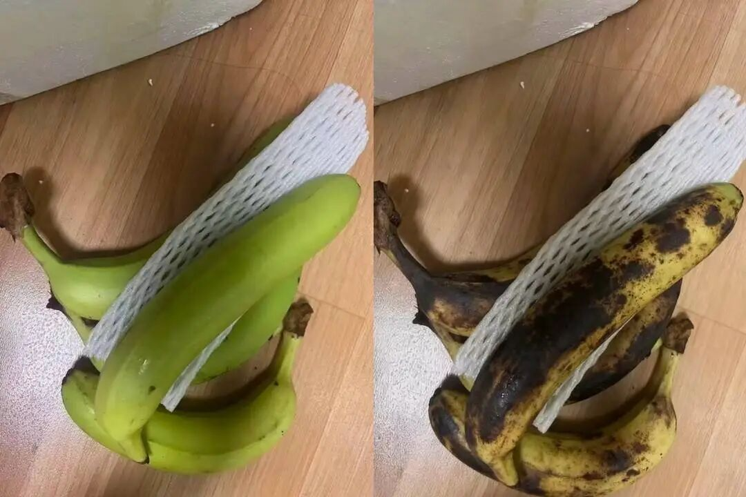 1998229458108002304.png 图片