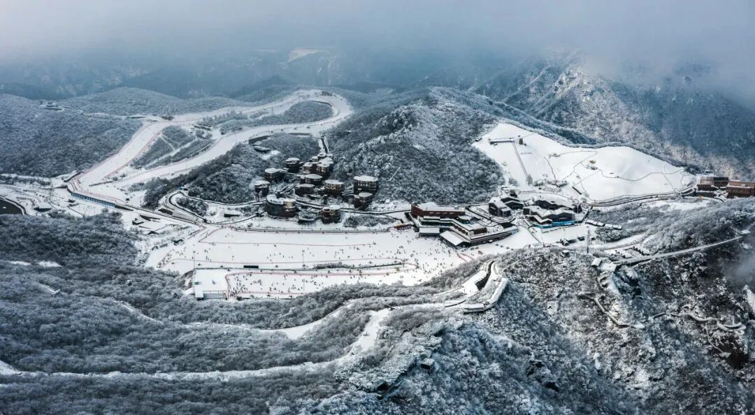 1998583055068934144.png 图片