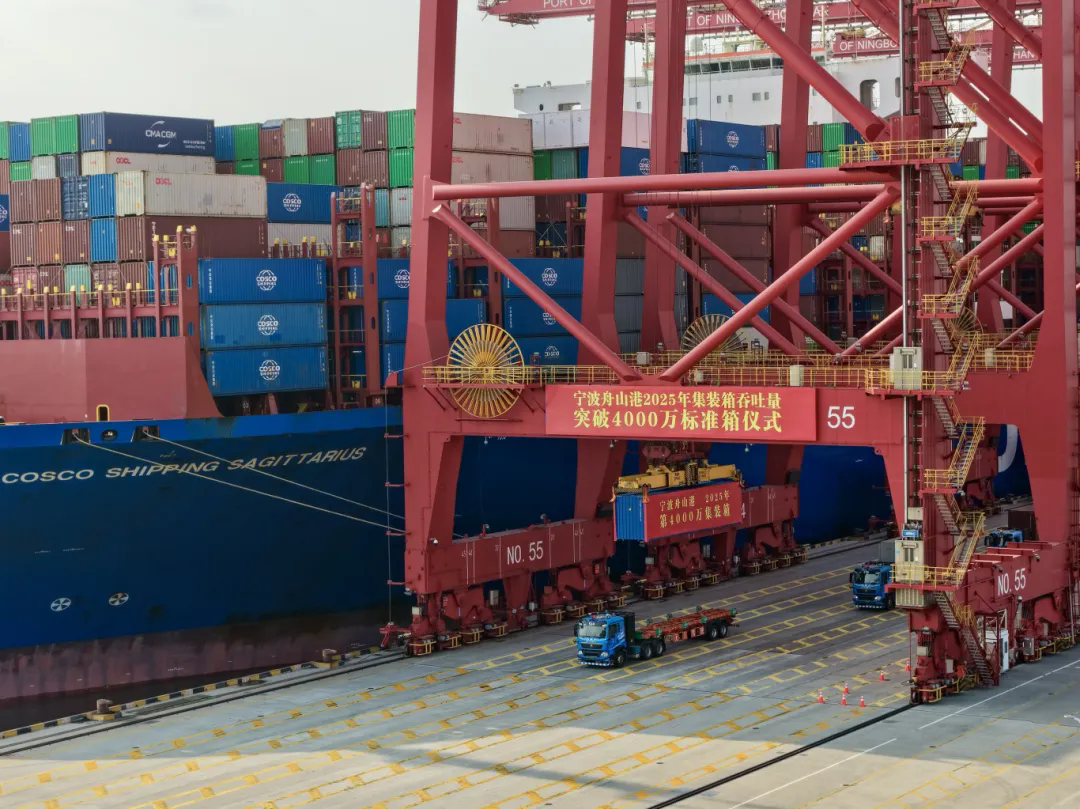 1999299953037389824.png 图片