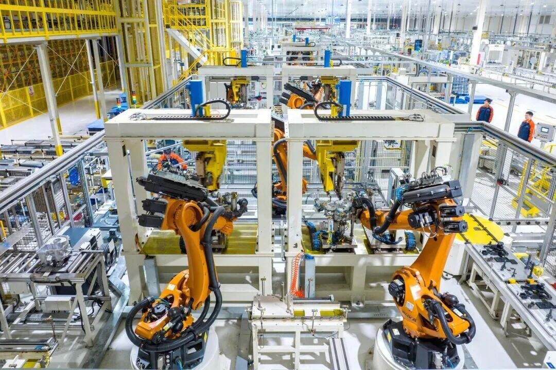 1999299952949309440.jpg 图片