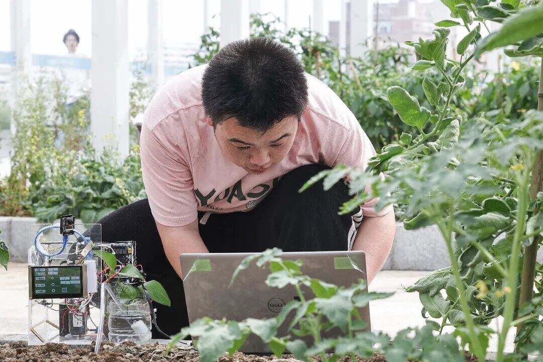 1999698283194089472.jpg 图片