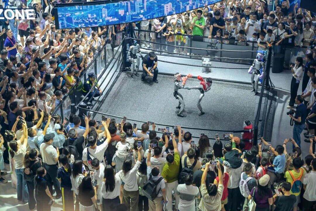 2003634502504415232.jpg 图片