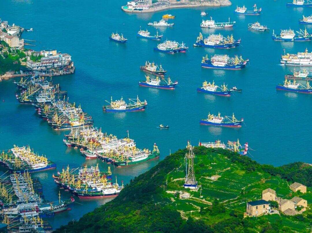 2003634931141312512.jpg 图片