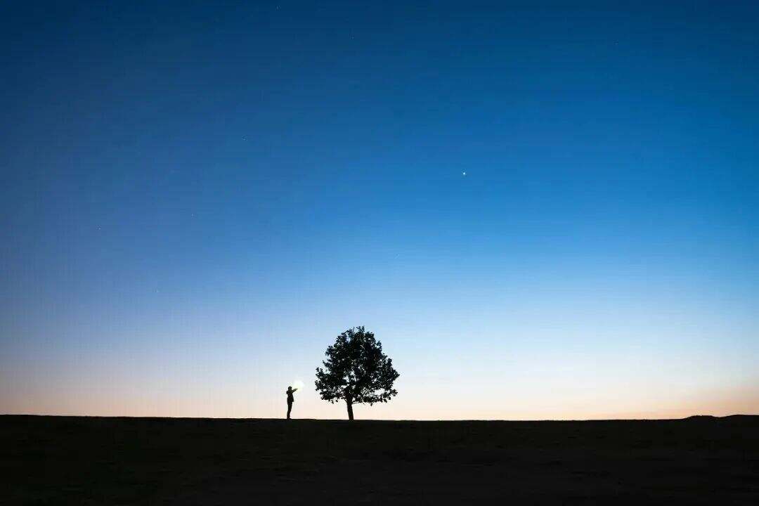 2003996056085200896.jpg 图片