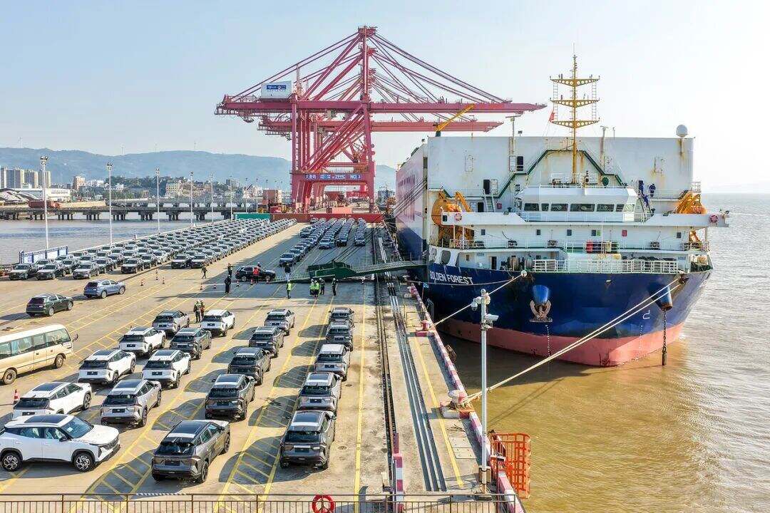 2003996056378802176.jpg 图片