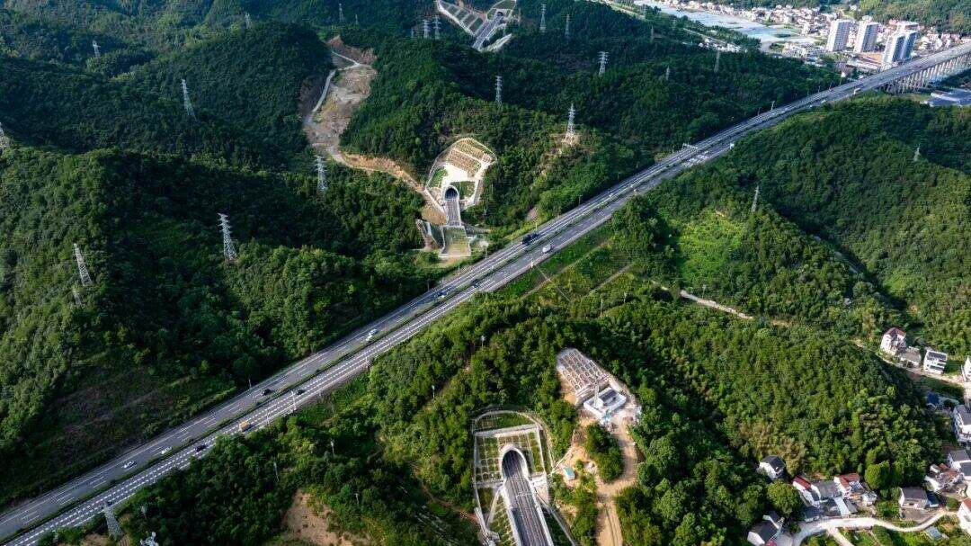 2004356168473772032.jpg 图片