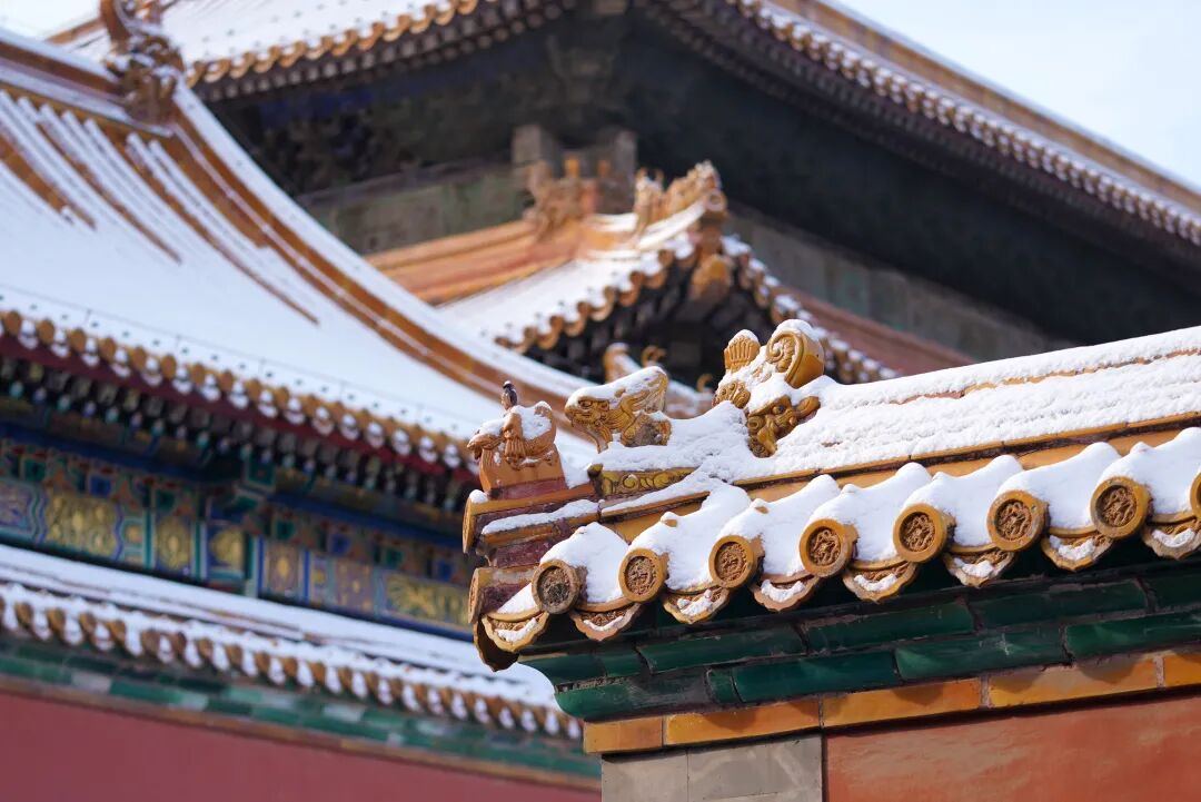 2007622107680079872.jpg 图片