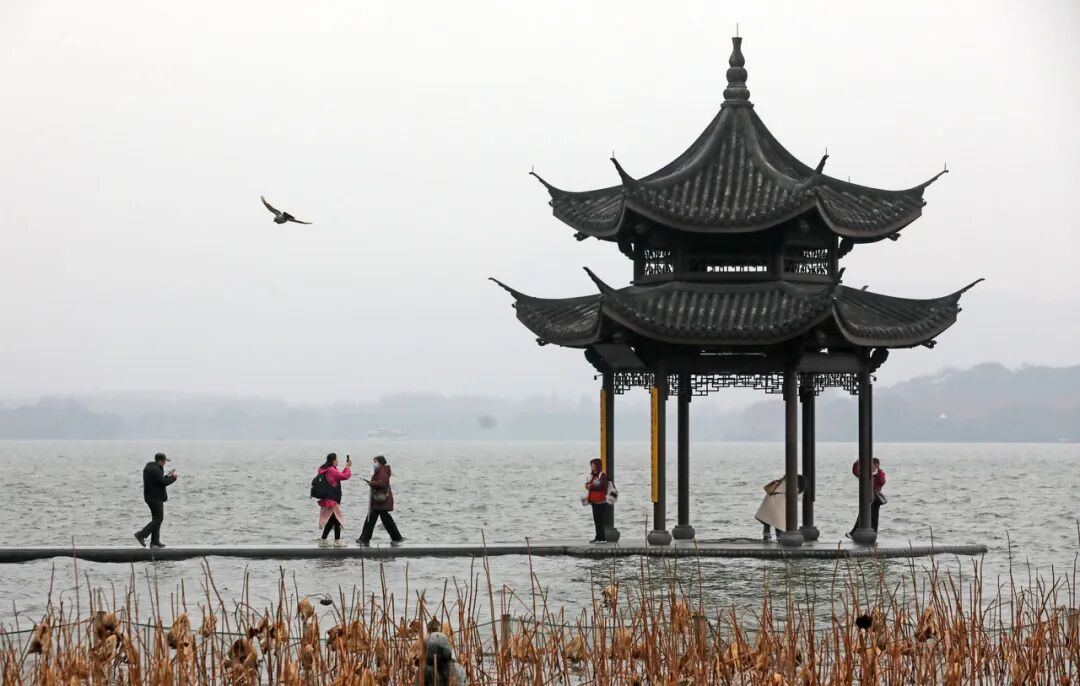 2009442467765420032.jpg 图片