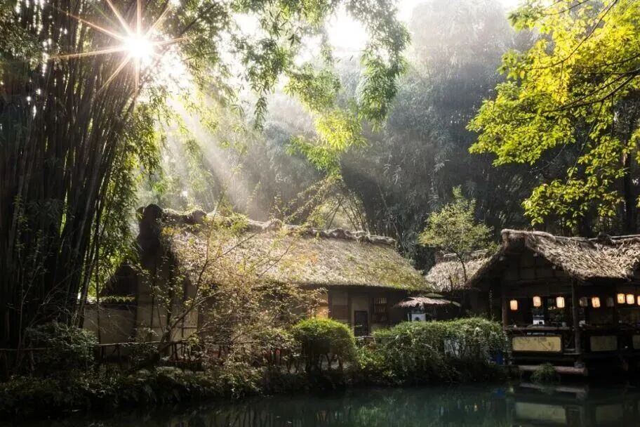 2013414840625713152.jpg 图片