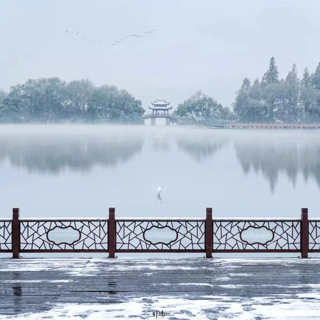 2013780935308136448.jpg 图片