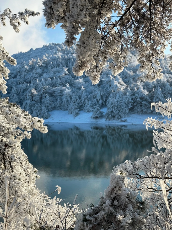 2013780935656263680.png 图片