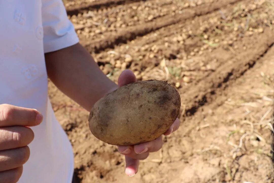 2014896686794461184.jpg 图片