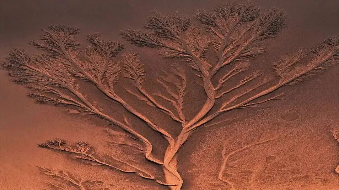 2016656580816064512.jpg 图片