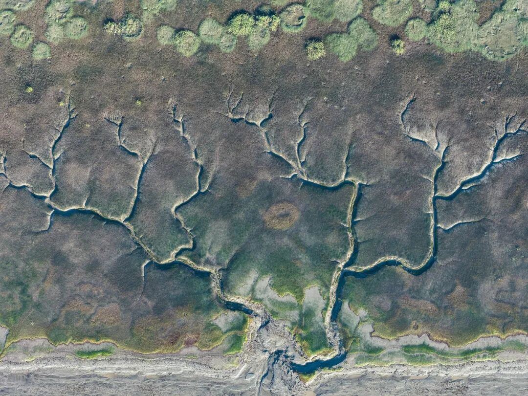 2016656580899950592.jpg 图片