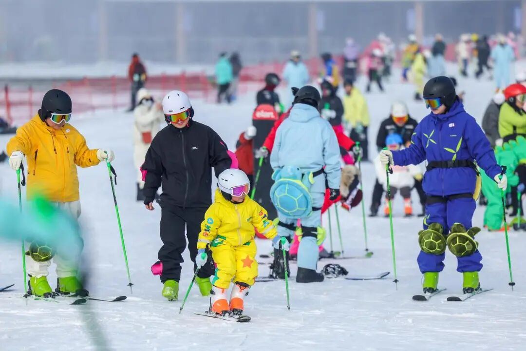 2017780404039110656.jpg 图片