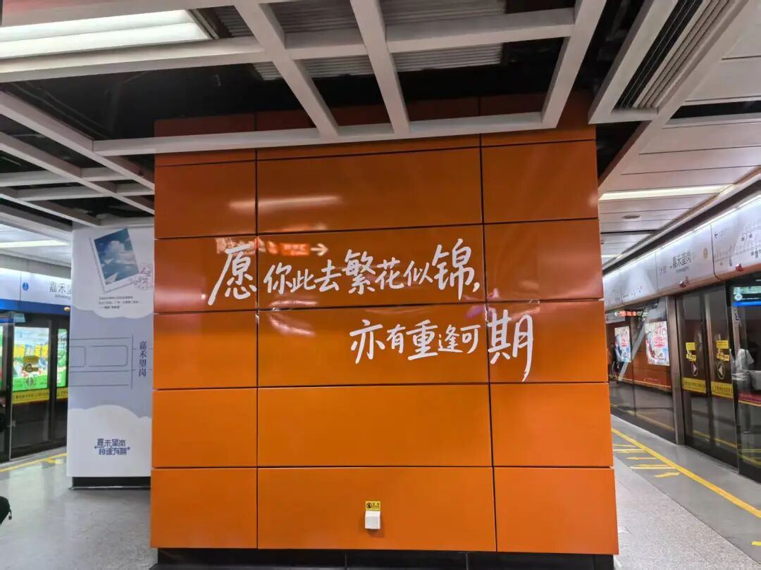 2020680823807594496.jpg 图片