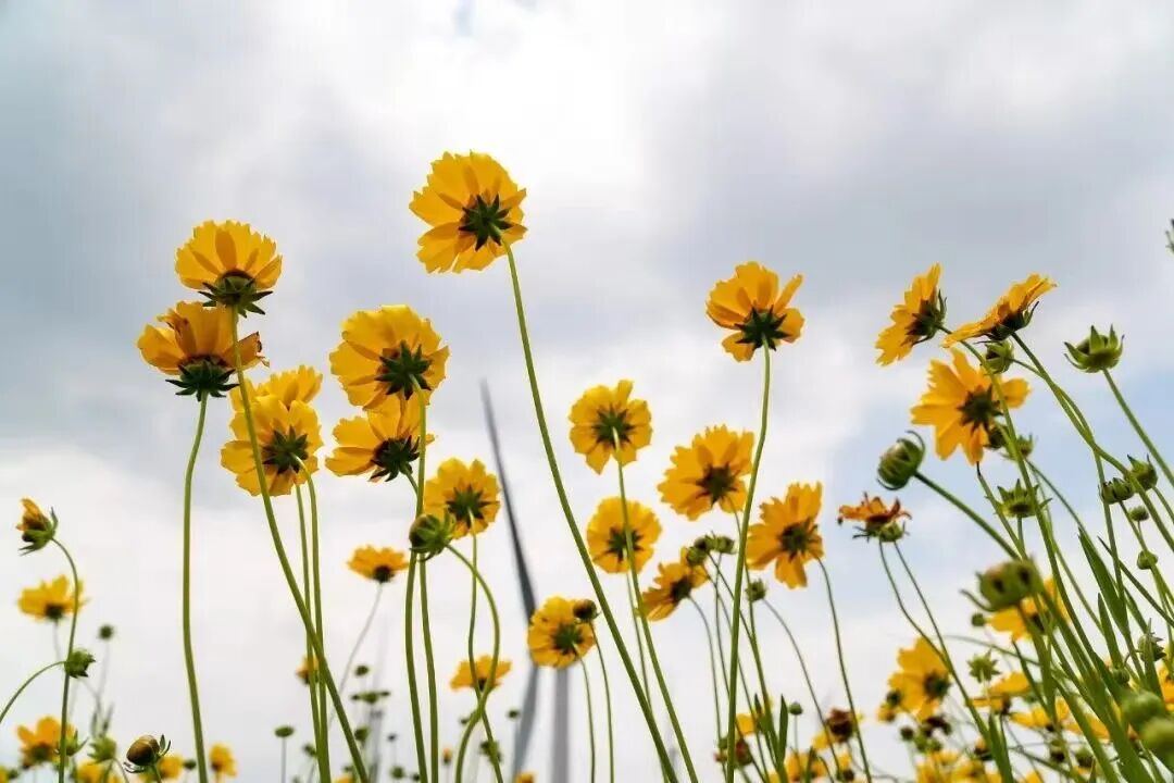 2025052160416206848.jpg 图片