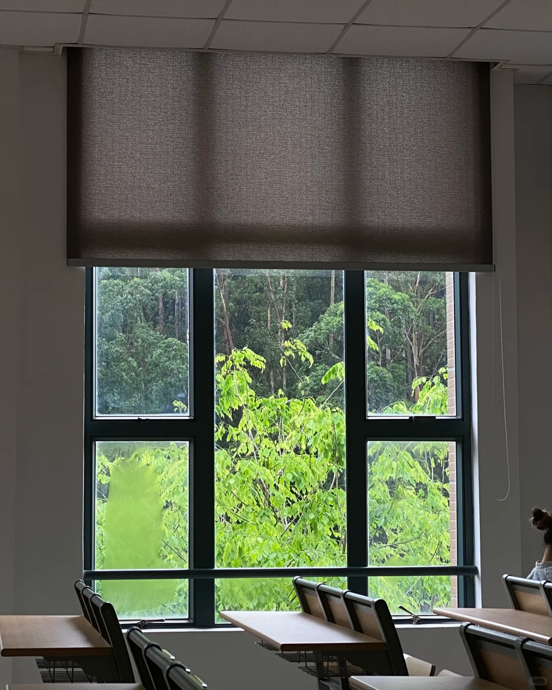 2025052616685178880.png 图片