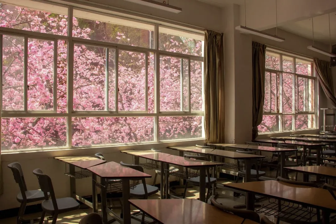 2037329491499413504.png 图片