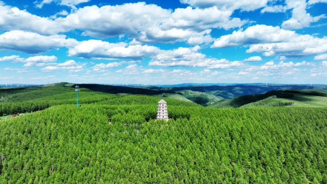 2048343518358740992.jpg 图片