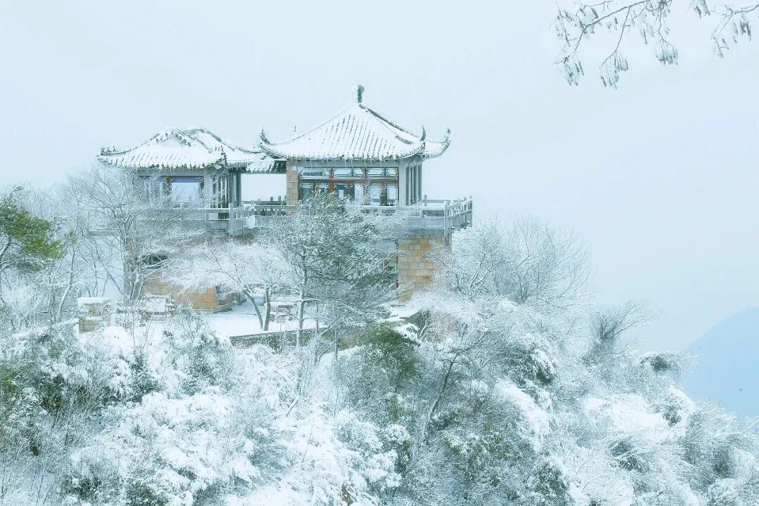 2056199728927809536.jpg 图片