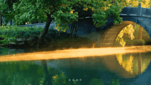 2069611502414839808.gif 图片