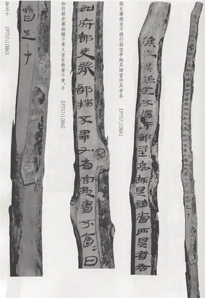 2078377418694807552.jpg 图片
