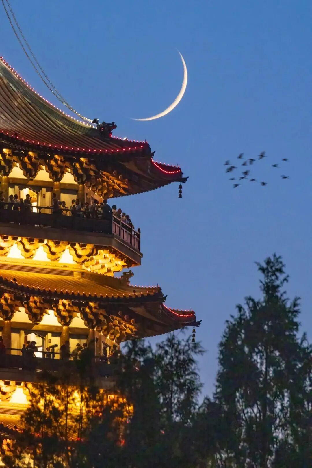 2096782024021839872.jpg 图片