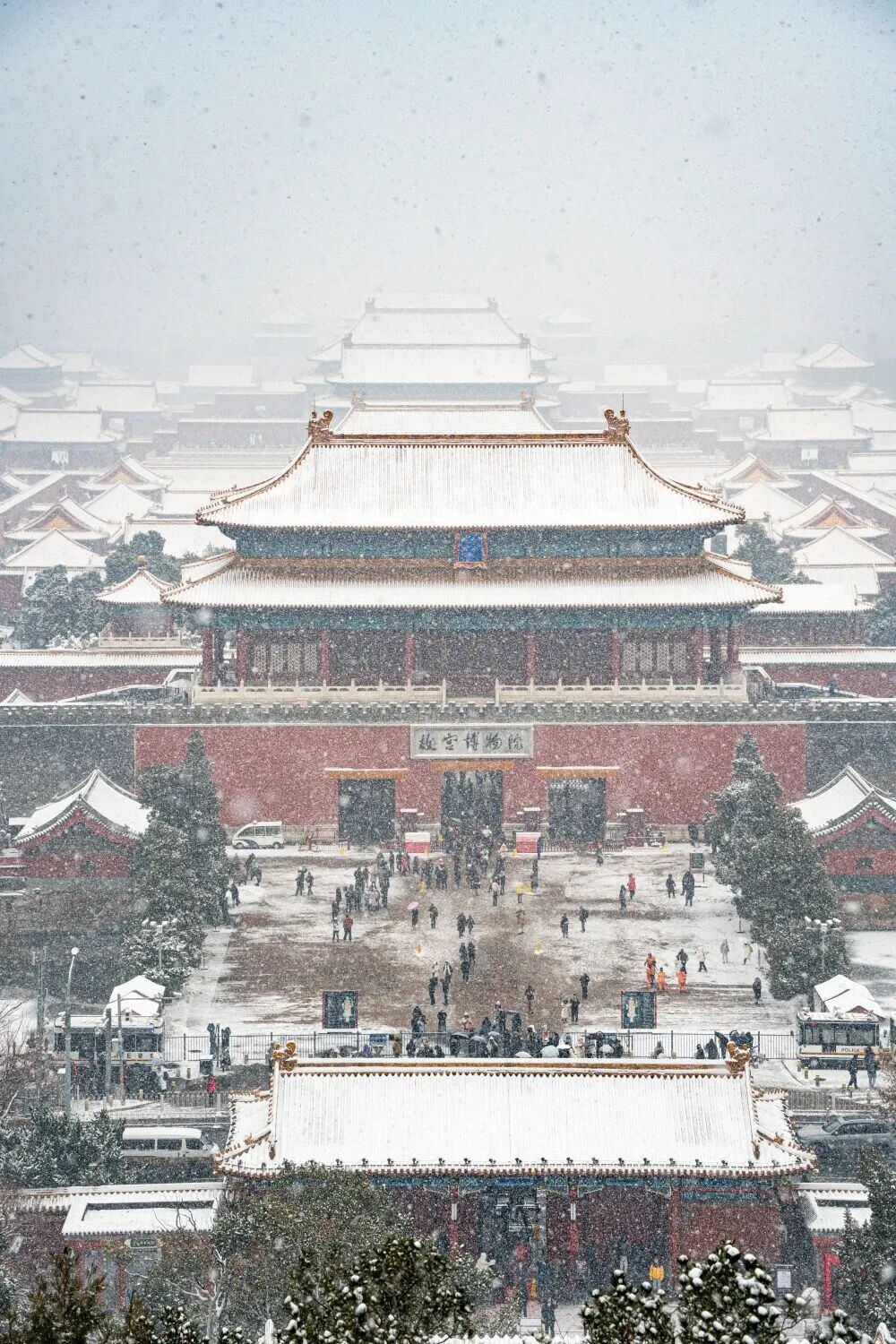2105099461259628544.jpg 图片
