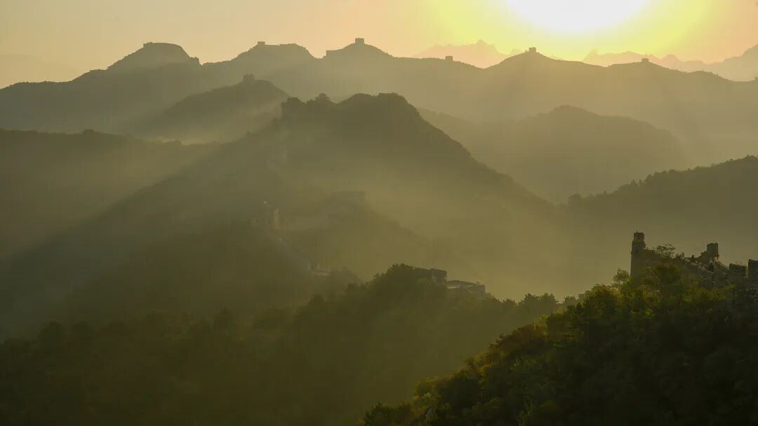 2105804040628539392.jpg 图片