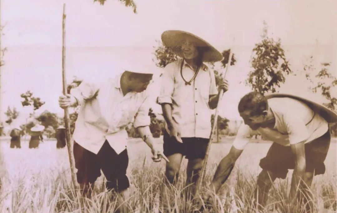 2109477583039959040.jpg 图片